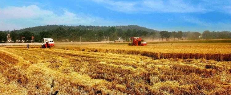 ZHENGZHOU ZHONGLIAN XINJIANG-7-ONE OF THE TOP 10 WHEAT HARVESTERS OF 2018 SALES(图2)