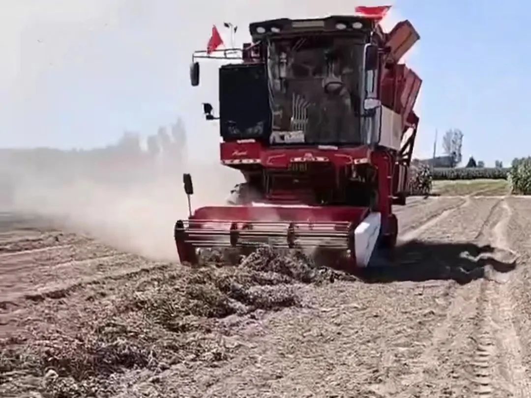 ZHONGLIAN HARVEST PEANUT MACHINE ACCOMPANIES CHEN SHUANGYANG