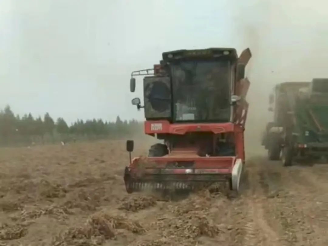 SONG XIAOSI: I AM A LOYAL FAN OF ZHONGLIAN HARVEST.