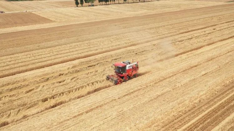 NEW CYCLE FOR COMBINE HARVESTERS, XINJIANG-2 MAKES ZHONGLIAN