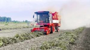 Tai'an Lu Xinchun:0.8 hectares per hour Zhonglian makes me r
