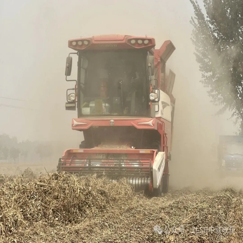 A Husband-and-Wife Team in Agricultural Machinery Services: Buying a Zoomlion Harvester for Cross-Region Work Is Much Better Than Working Elsewhere!(图2) 640-2.jpg