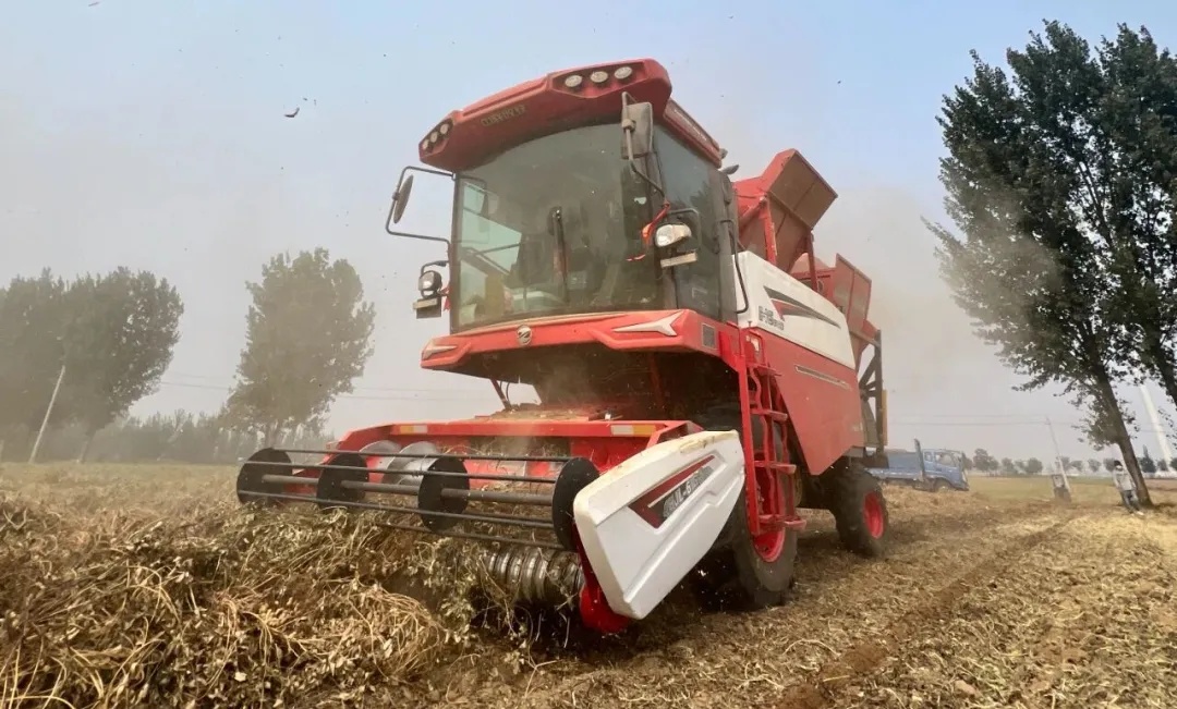 Master Han from Jiaozuo, Henan: High returns and excellent experience, when choosing a harvester, only choose Zoomlion.(图2) 640 (1).jpg
