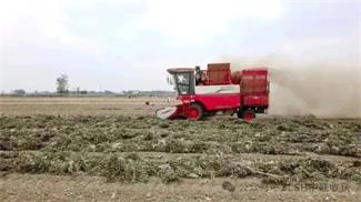 Woye Nuggets: Nanyang Old Agricultural Mechanic Master Wu and Zhonglian Harvests Two-way Going.(图4) 640 (3)_看图王.jpg